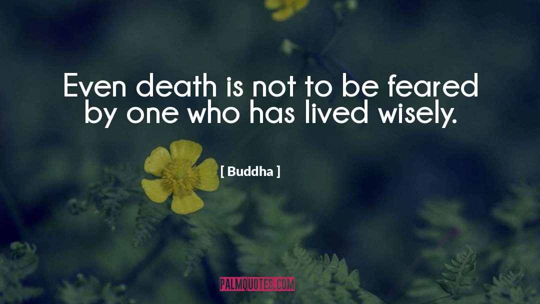 Masking Fear quotes by Buddha