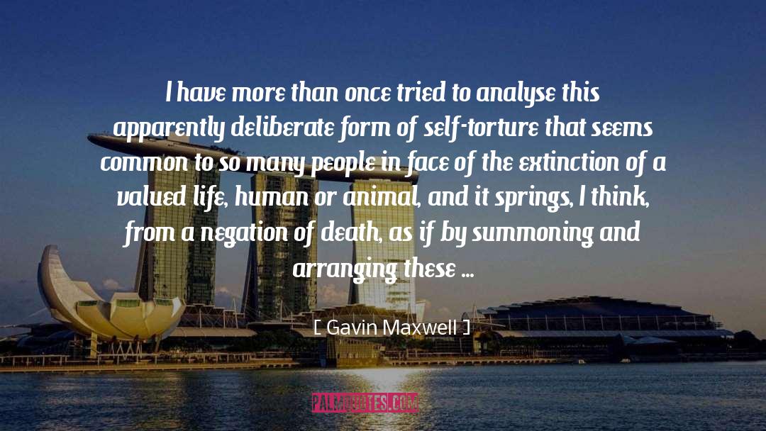 Masochistic quotes by Gavin Maxwell