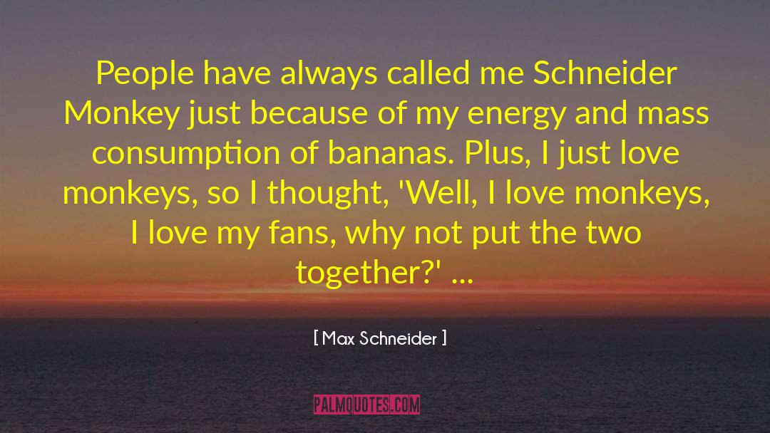 Mass Consumption quotes by Max Schneider