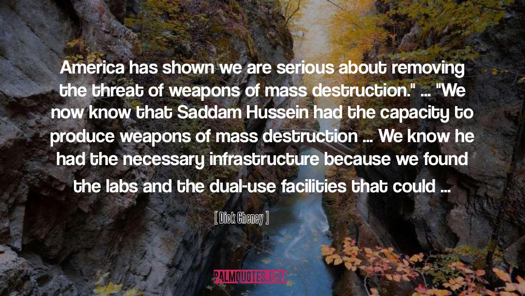 Mass Destruction quotes by Dick Cheney