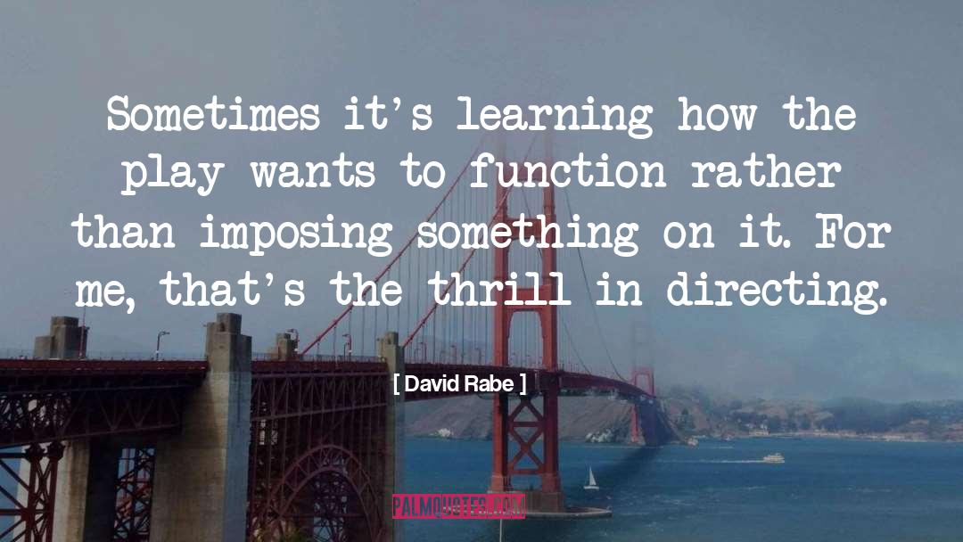 Massieu Function quotes by David Rabe