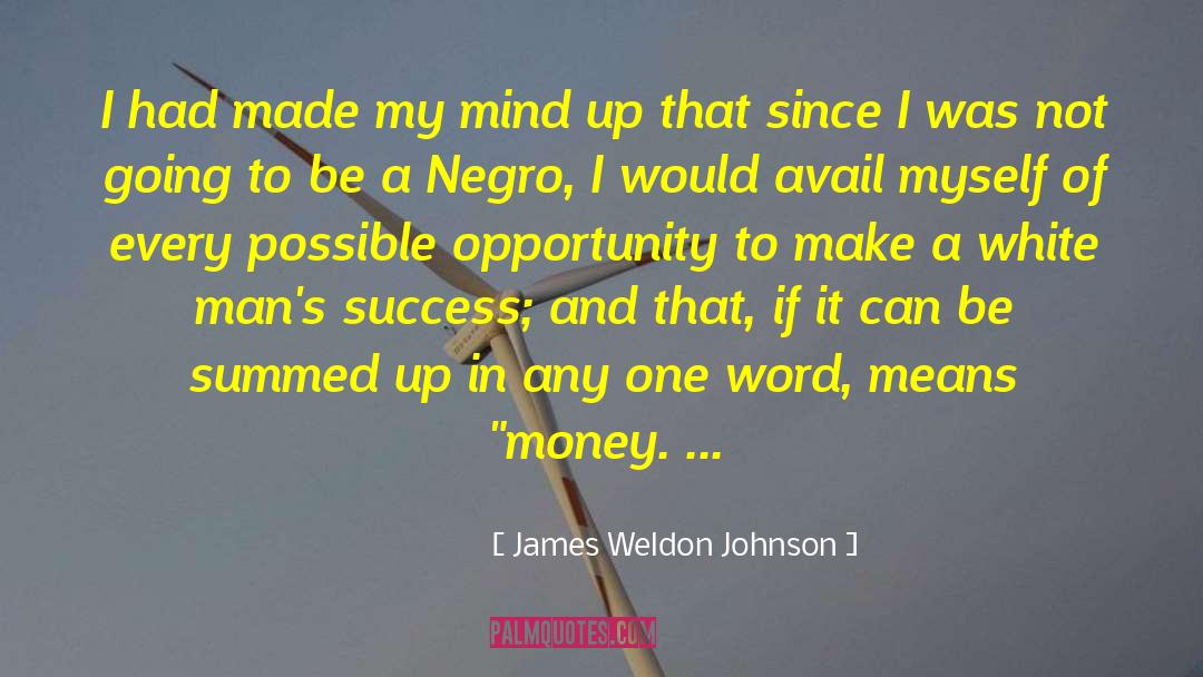 Massive Success quotes by James Weldon Johnson