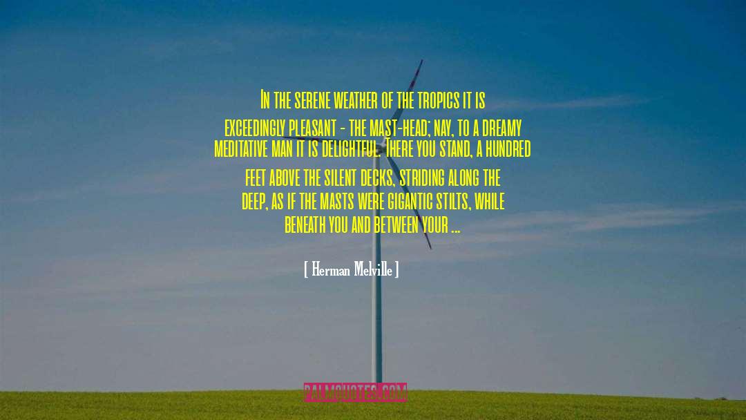 Mast Qalandar quotes by Herman Melville