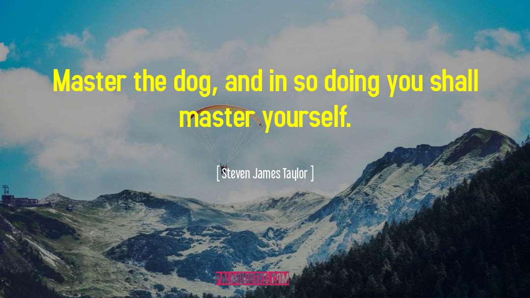 Master Hsueh quotes by Steven James Taylor