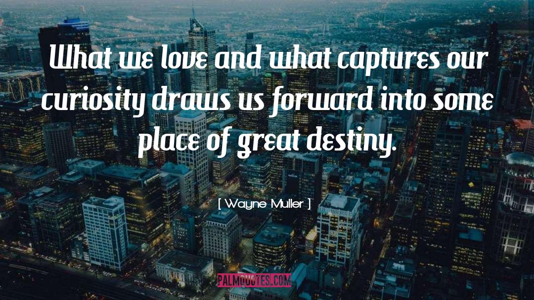 Master Of Destiny quotes by Wayne Muller