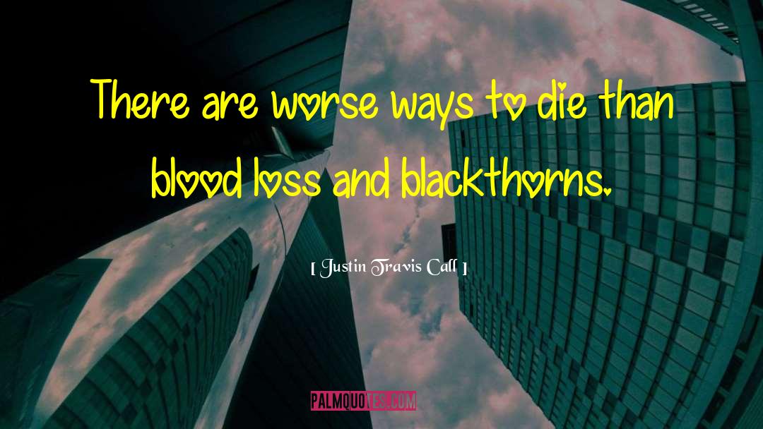 Master Of Sorrows quotes by Justin Travis Call