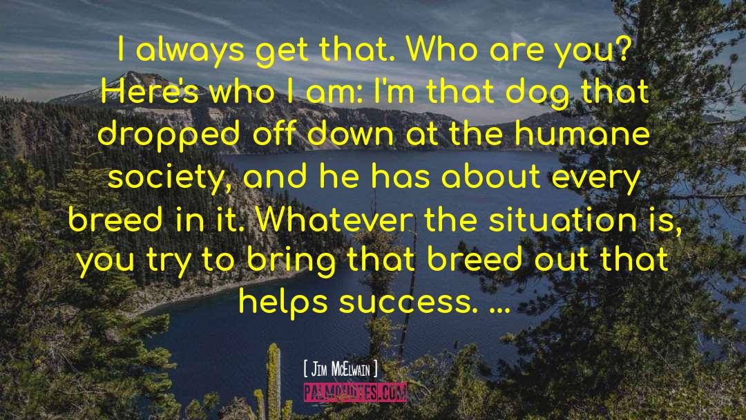 Master The Dog quotes by Jim McElwain