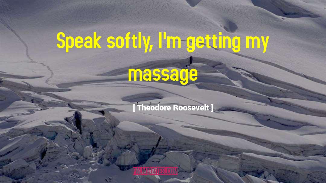 Masterpeace Massage quotes by Theodore Roosevelt