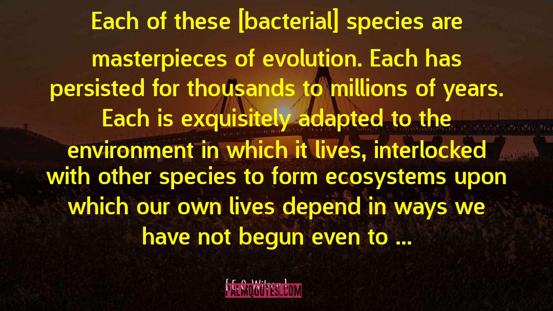 Masterpieces quotes by E. O. Wilson