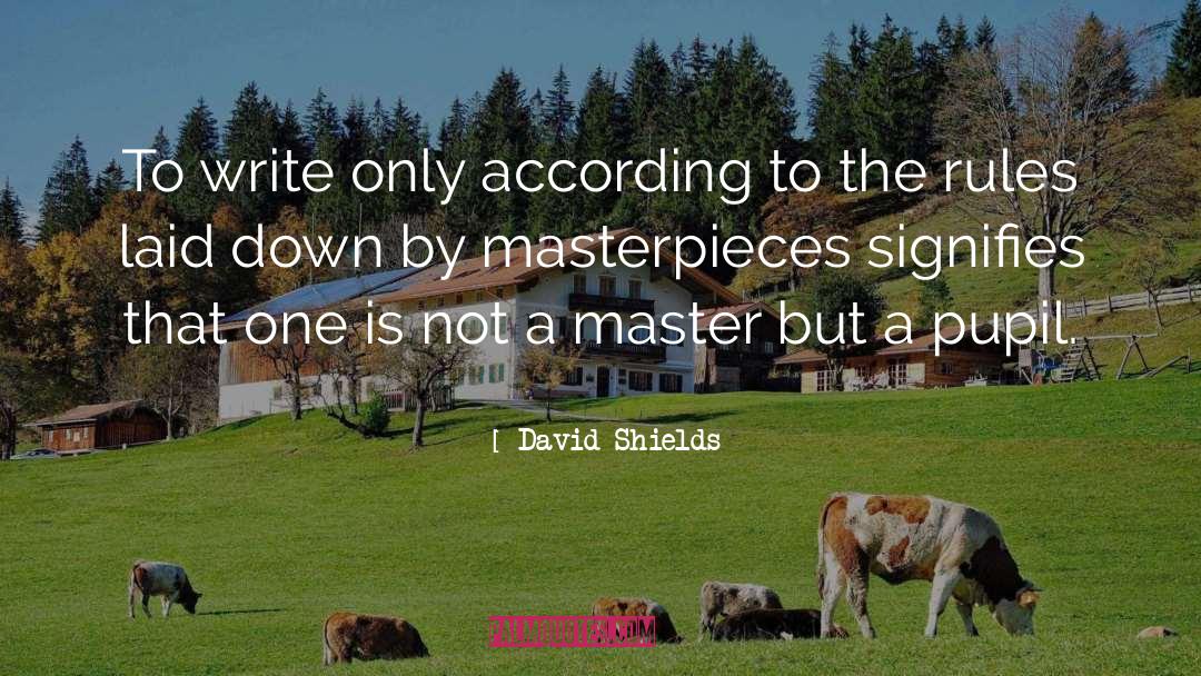 Masterpieces quotes by David Shields