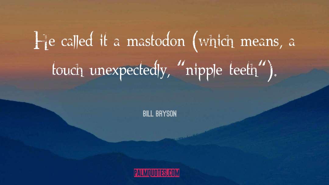 Mastodon quotes by Bill Bryson