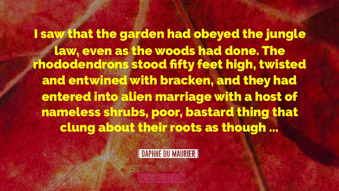 Mated quotes by Daphne Du Maurier
