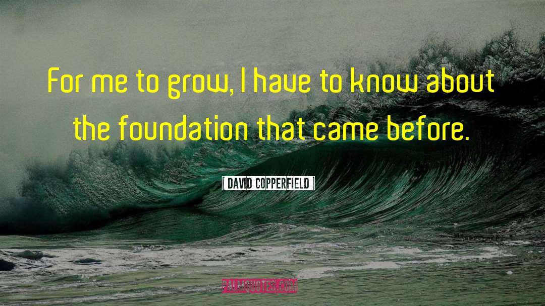Material Foundation quotes by David Copperfield