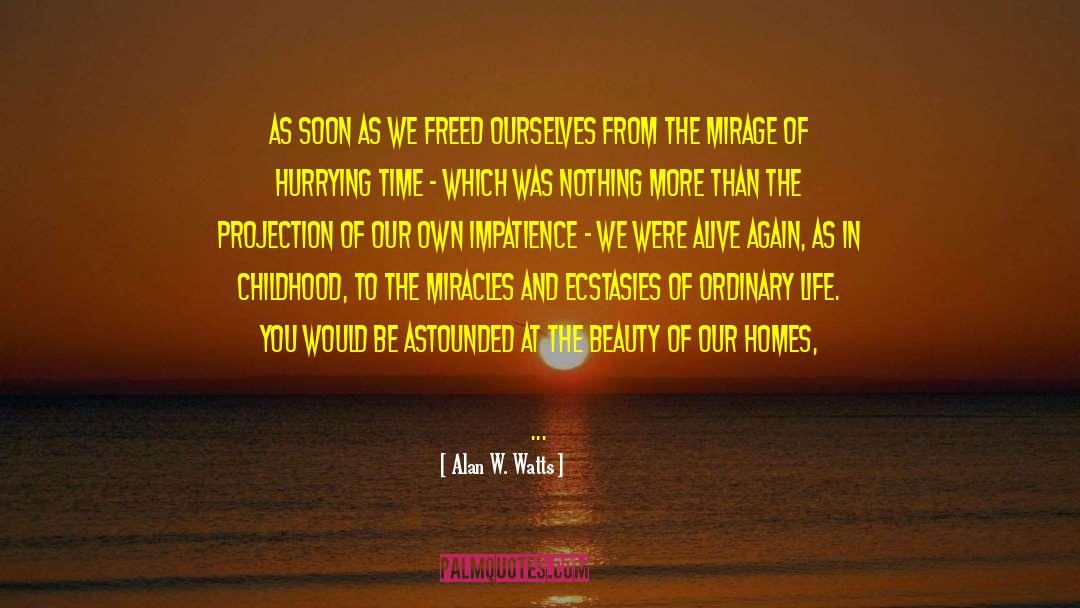 Material Wealth quotes by Alan W. Watts