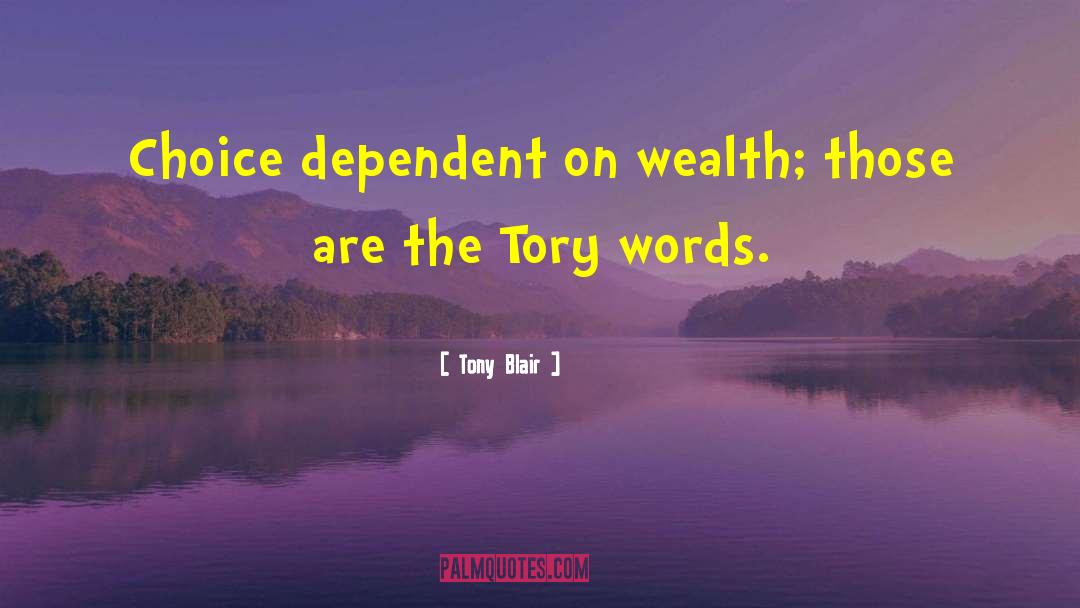 Material Wealth quotes by Tony Blair