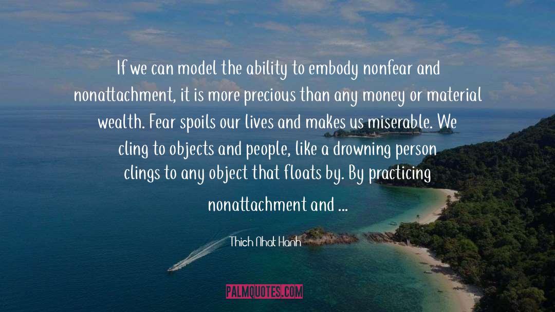 Material Wealth quotes by Thich Nhat Hanh