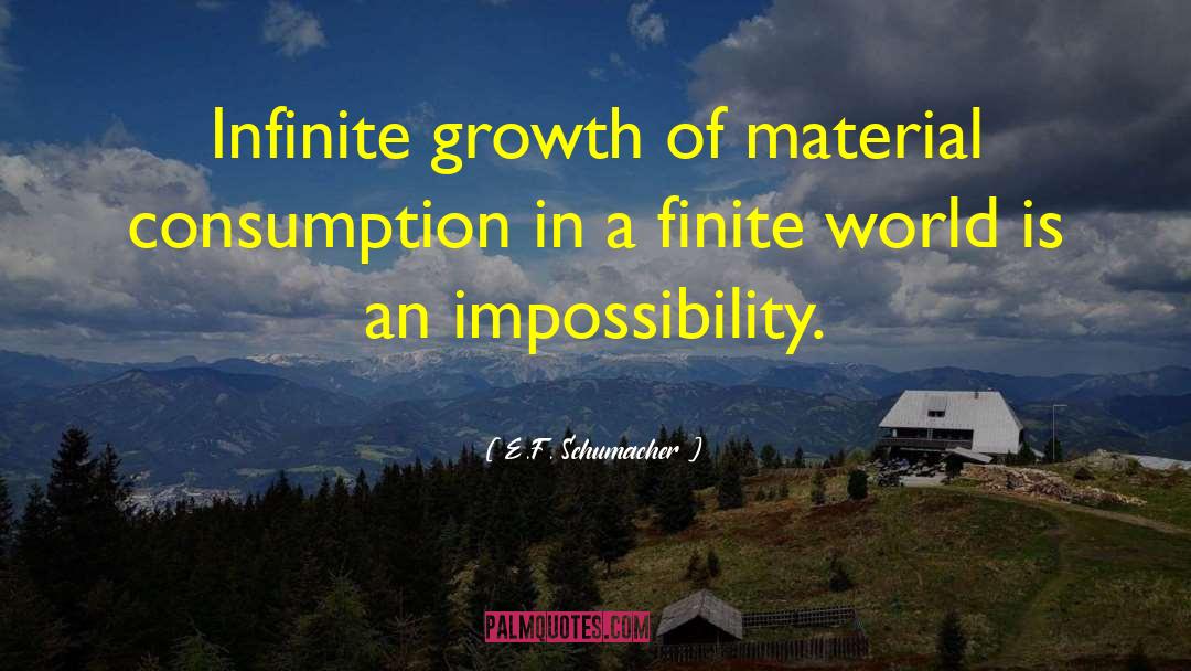 Material World quotes by E.F. Schumacher