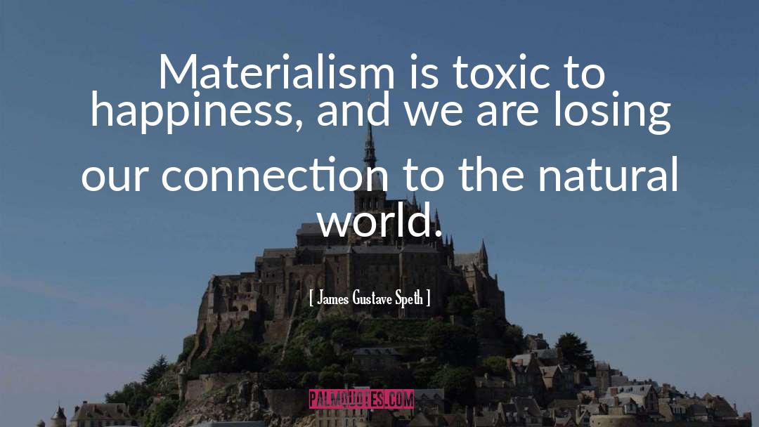 Materialism quotes by James Gustave Speth