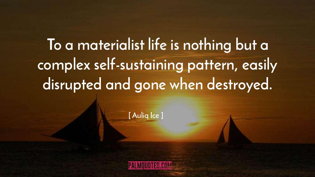 Materialist quotes by Auliq Ice