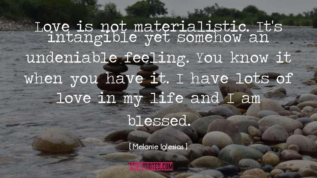 Materialistic quotes by Melanie Iglesias