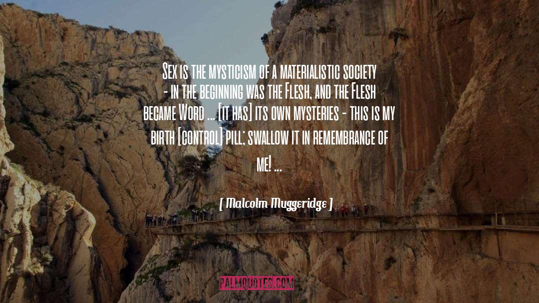 Materialistic Society quotes by Malcolm Muggeridge