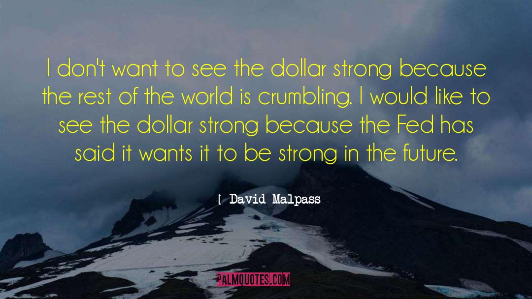 Materialistic World quotes by David Malpass