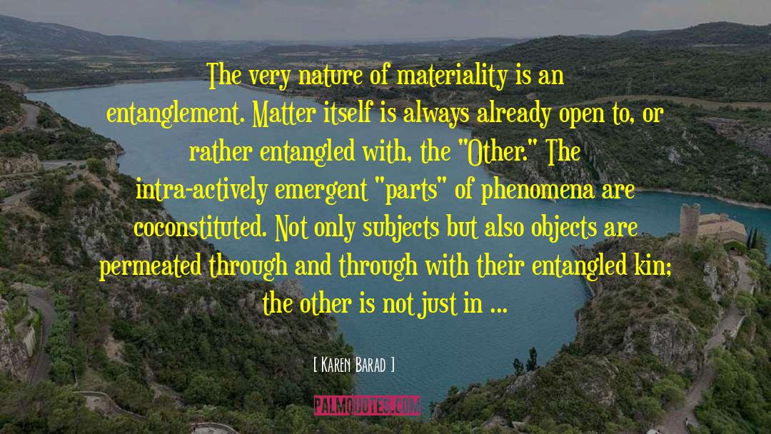 Materiality quotes by Karen Barad