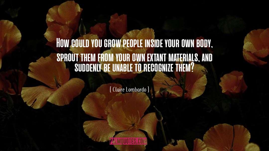 Materials quotes by Claire Lombardo