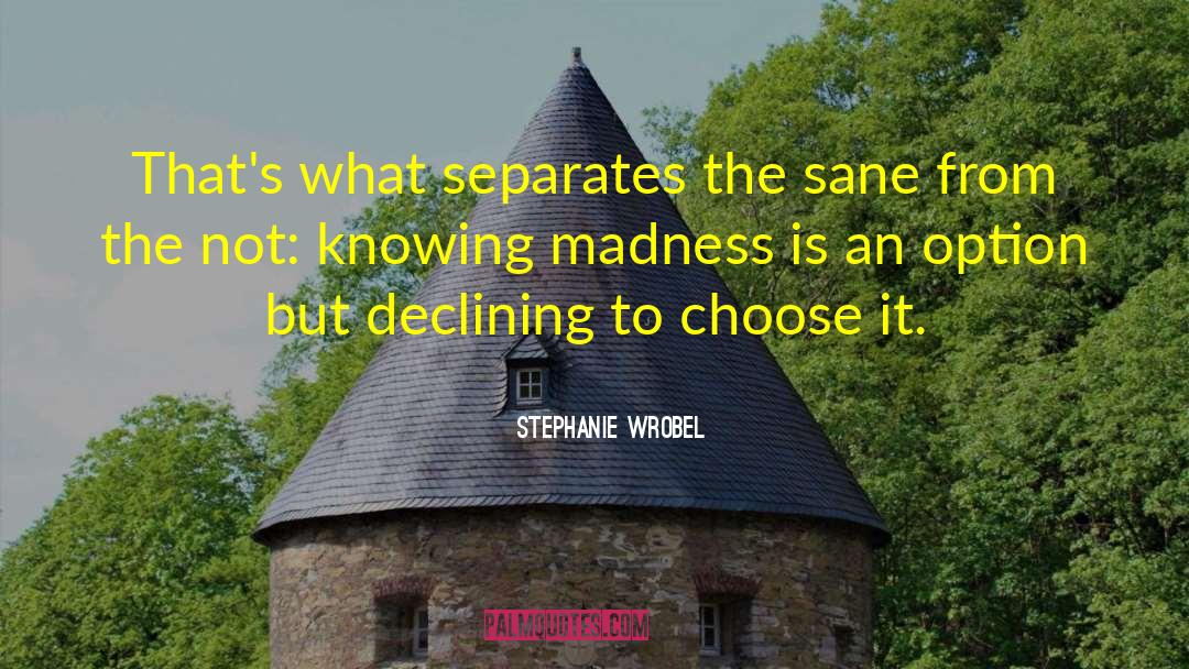 Mathematical Madness quotes by Stephanie Wrobel