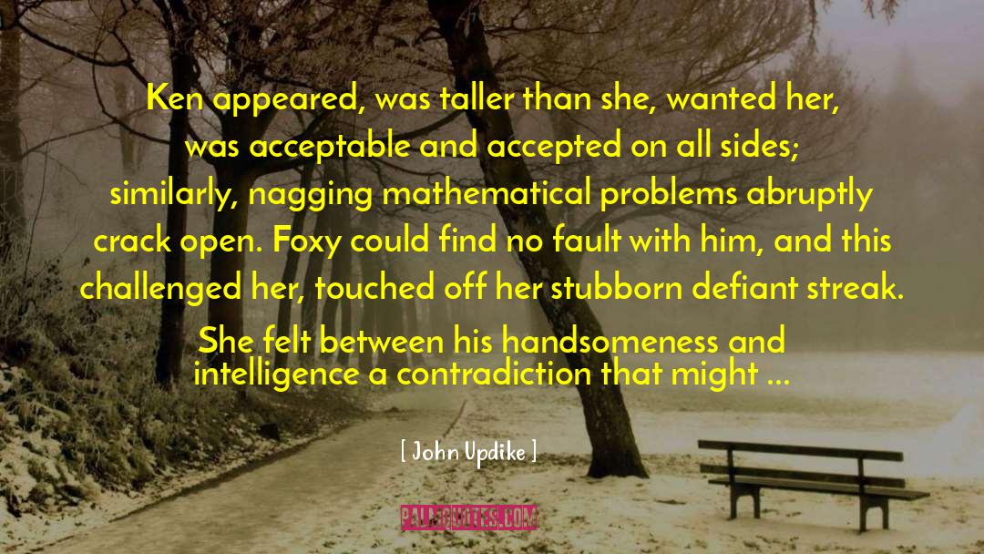 Mathematical Problems quotes by John Updike