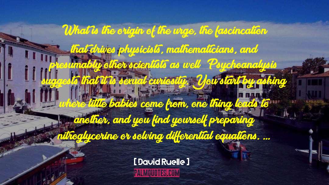 Mathematics By Mathematicians quotes by David Ruelle