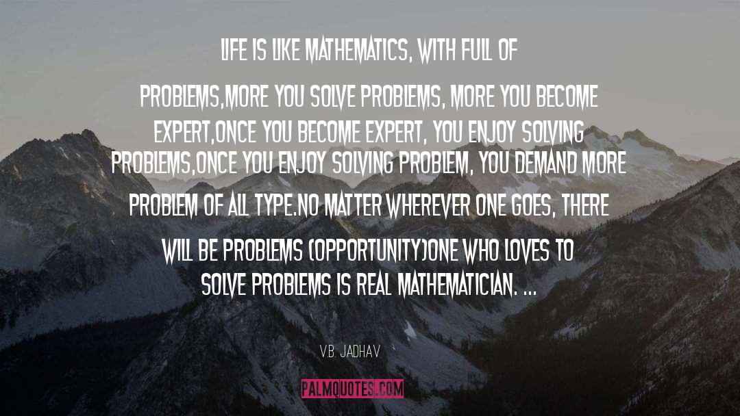 Mathematics quotes by V.B. Jadhav