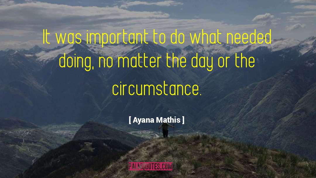 Mathis quotes by Ayana Mathis