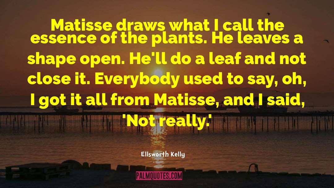 Matisse quotes by Ellsworth Kelly