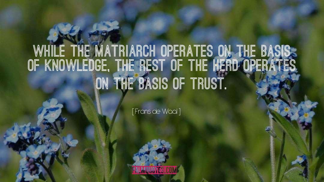 Matriarch quotes by Frans De Waal