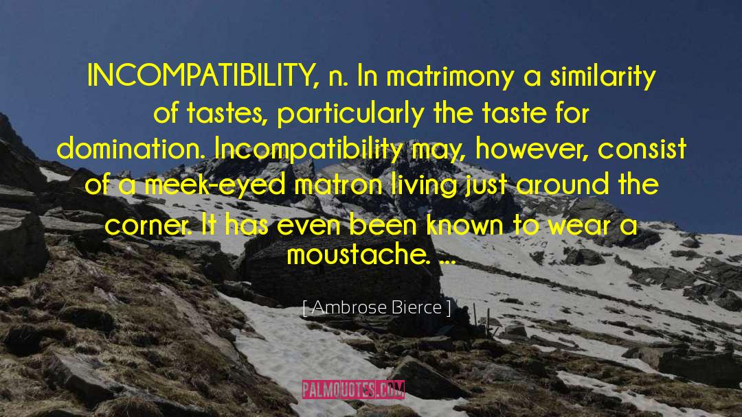 Matron quotes by Ambrose Bierce