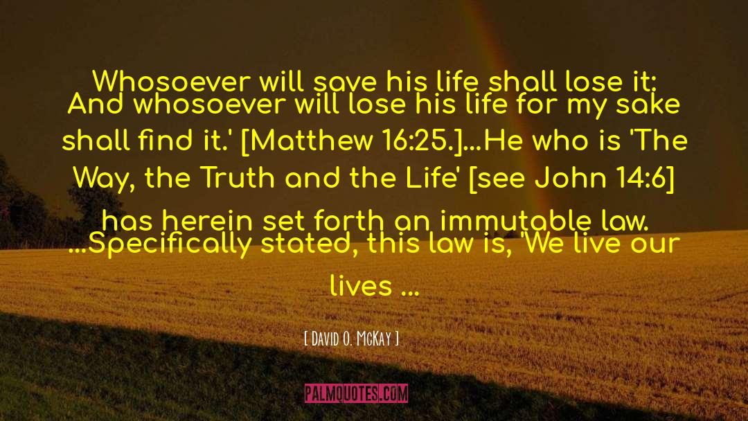 Matthew 6 28 quotes by David O. McKay