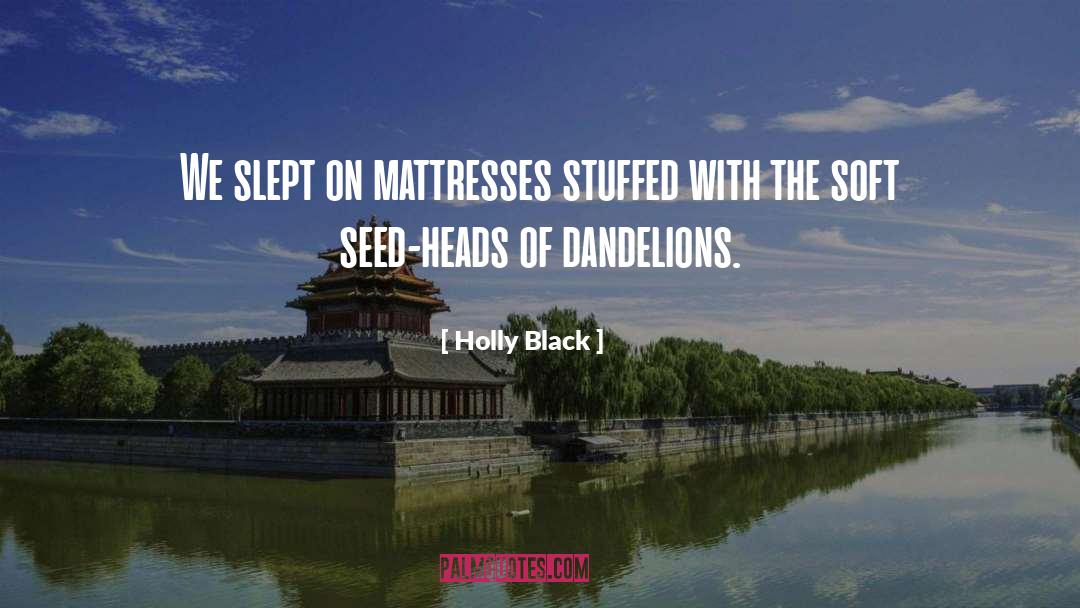 Mattresses quotes by Holly Black