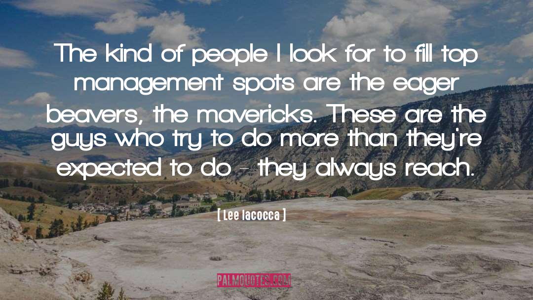 Mavericks quotes by Lee Iacocca