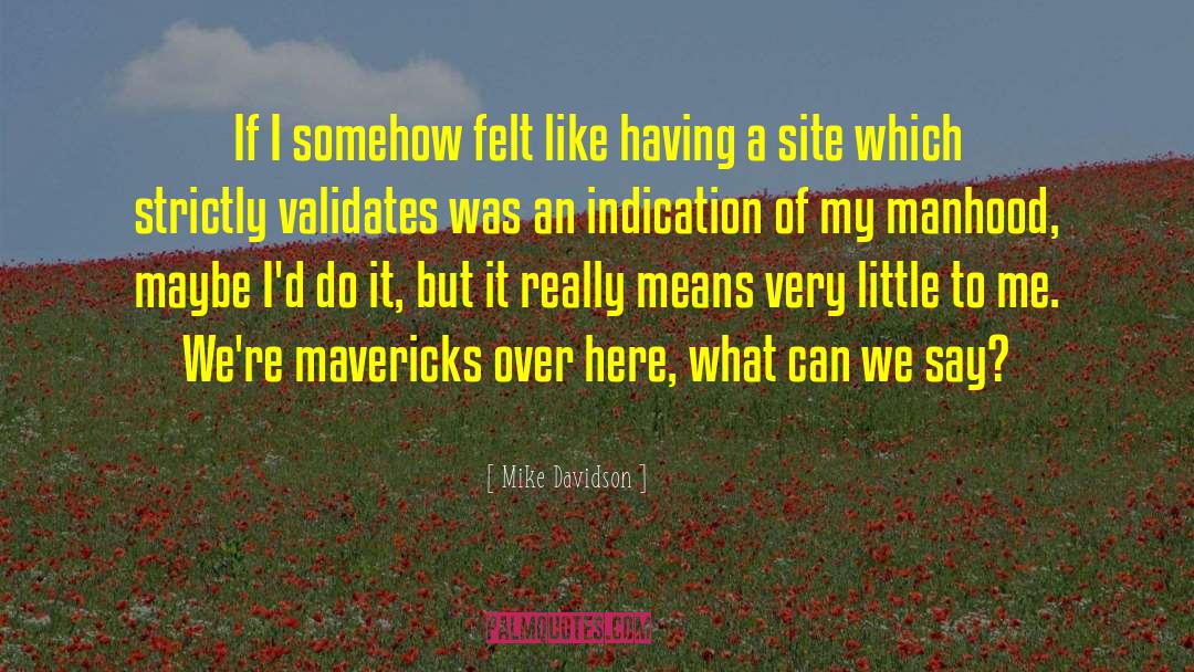Mavericks quotes by Mike Davidson