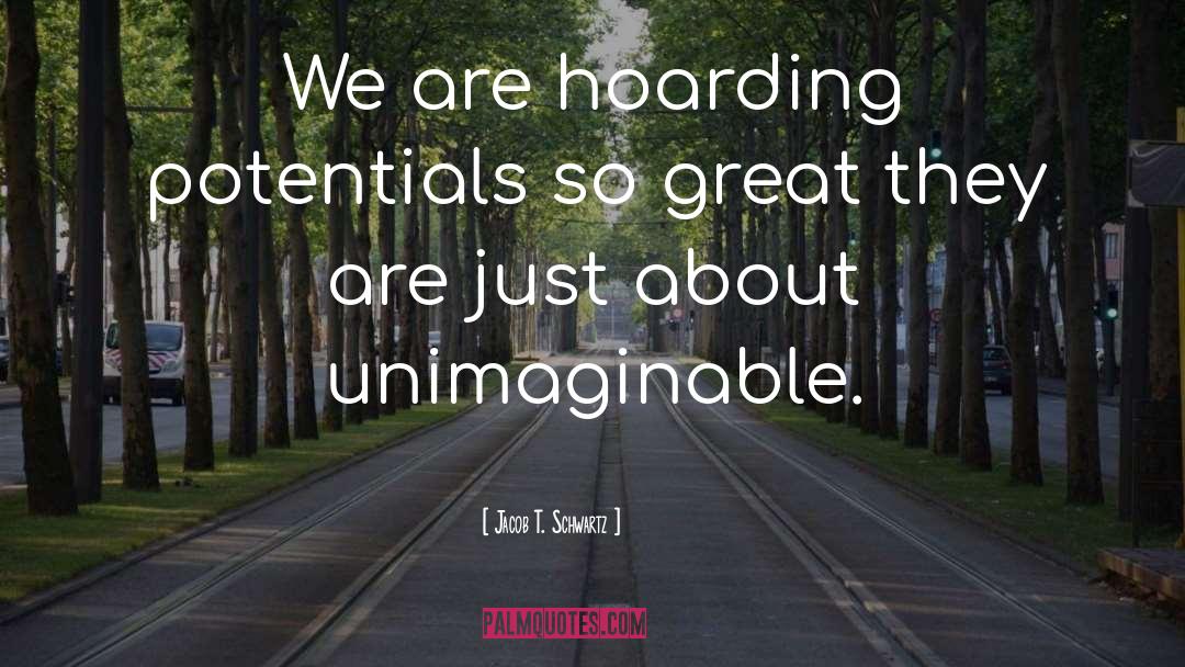 Maximize Potentials quotes by Jacob T. Schwartz