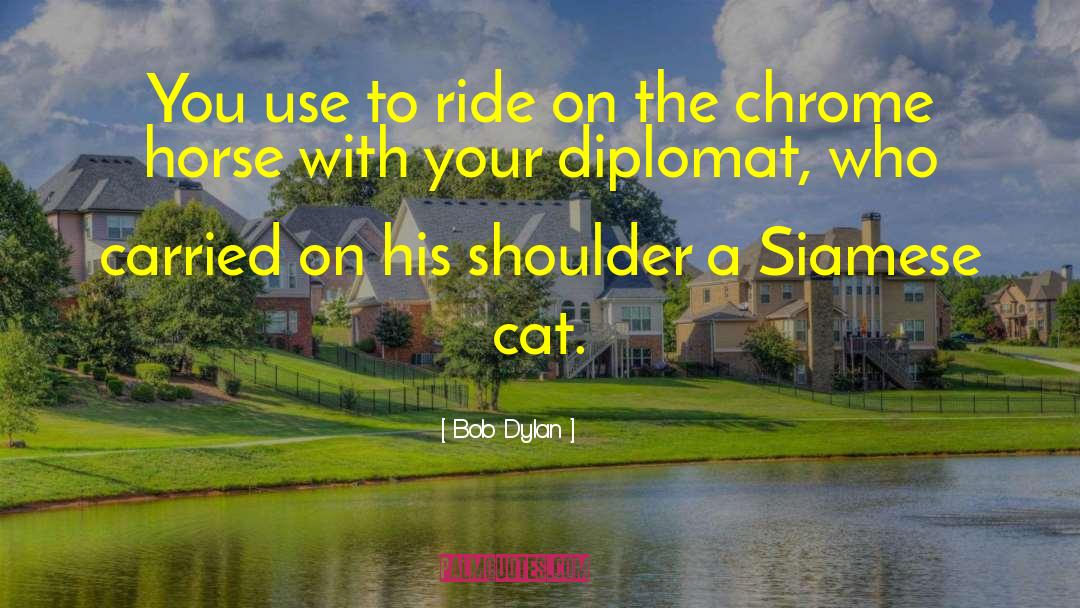 Maximu Ride quotes by Bob Dylan