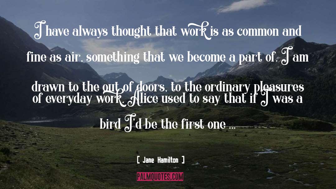 May Bird quotes by Jane Hamilton