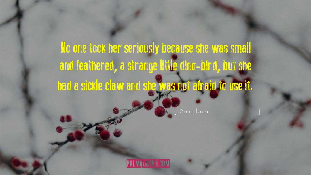 May Bird quotes by Anne Ursu