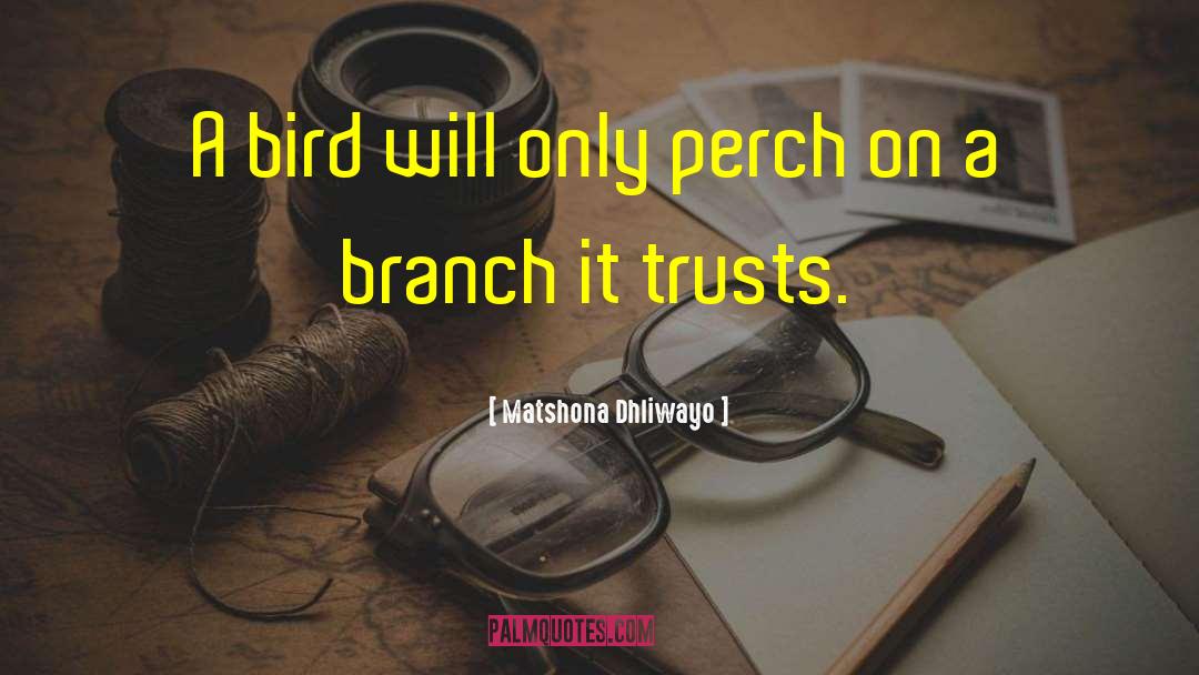 May Bird quotes by Matshona Dhliwayo