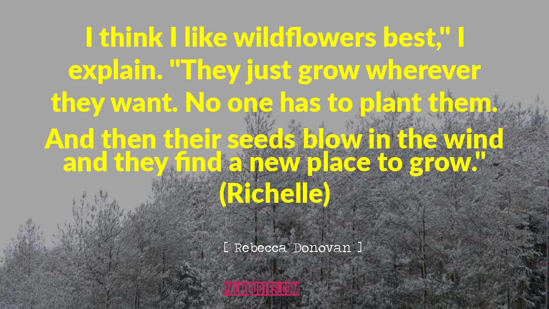 May Flowers quotes by Rebecca Donovan