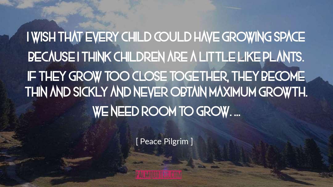 Mayfly And Pilgrim quotes by Peace Pilgrim