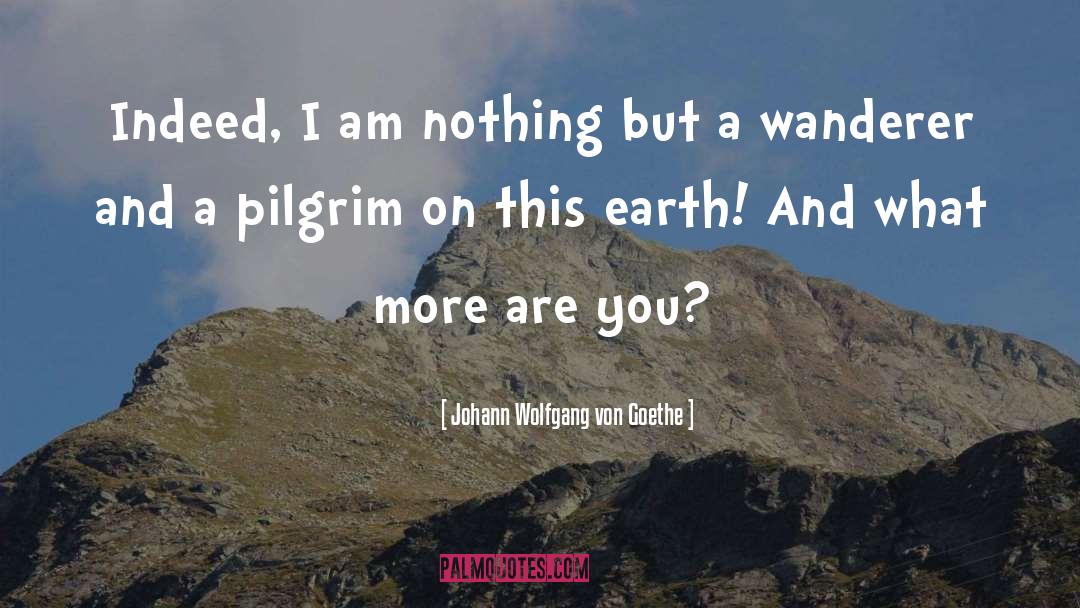 Mayfly And Pilgrim quotes by Johann Wolfgang Von Goethe