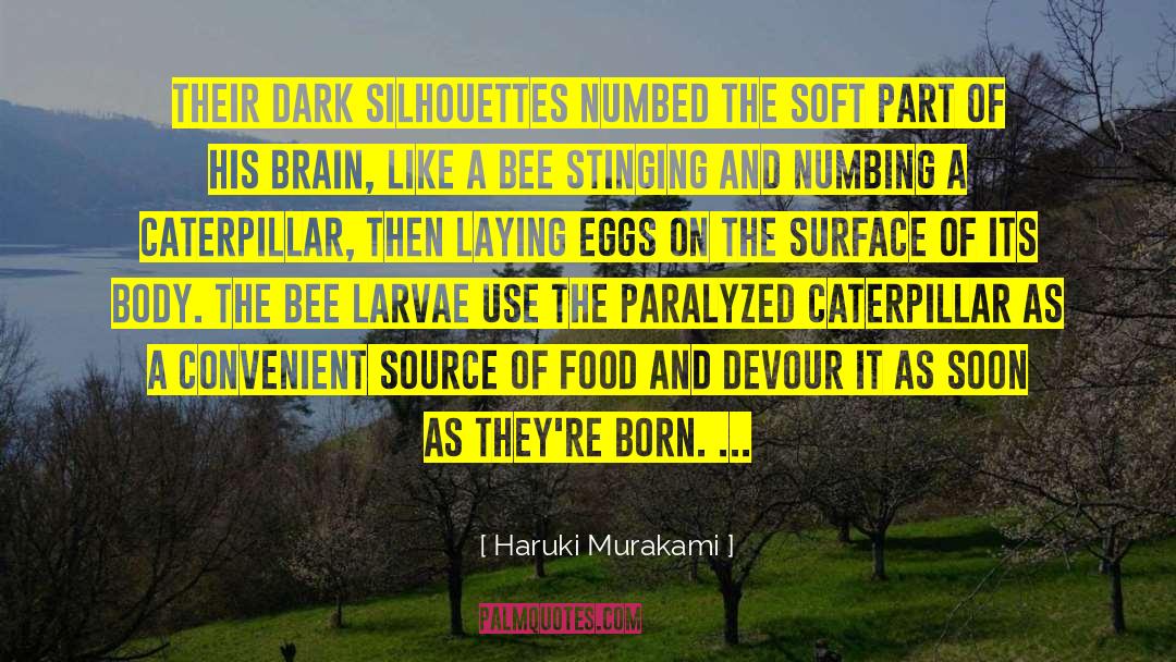 Mayfly Larvae quotes by Haruki Murakami
