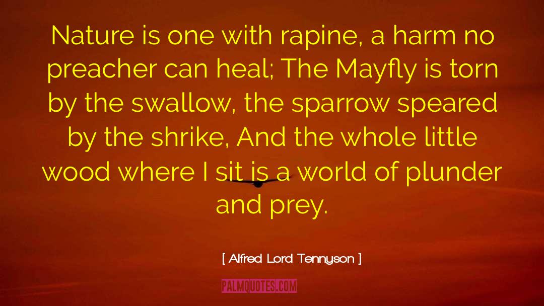 Mayfly Larvae quotes by Alfred Lord Tennyson
